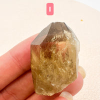 Citrino Kundalini | Despertar espiritual - Poder interior