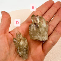 Citrino Kundalini | Despertar espiritual - Poder interior