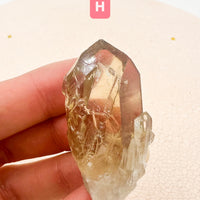 Citrino Kundalini | Despertar espiritual - Poder interior