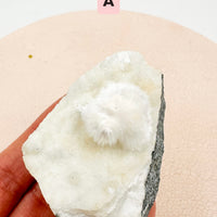 Okenita | Autoconocimiento - Aceptación