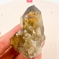 Citrino Kundalini | Despertar espiritual - Poder interior