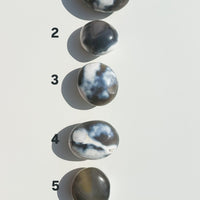 Ágata Orca Palmstone | Equilibrio y Superación