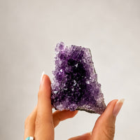 Amethyst Clusters | Relaxation - Balance