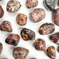 Jaspe Chocolate | Rodado mini | Calma y protección