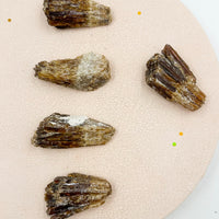 Calcita miel Masivo Cristalizado | Liderazgo - Metas