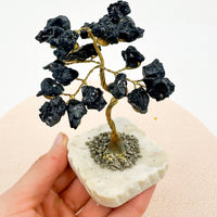 Árbol de turmalina | Limpieza - Protección