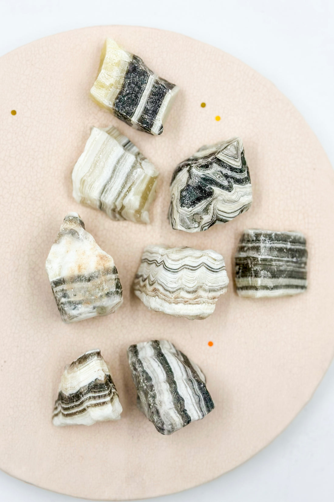 Zebra Onyx Raw | Support - Perseverance