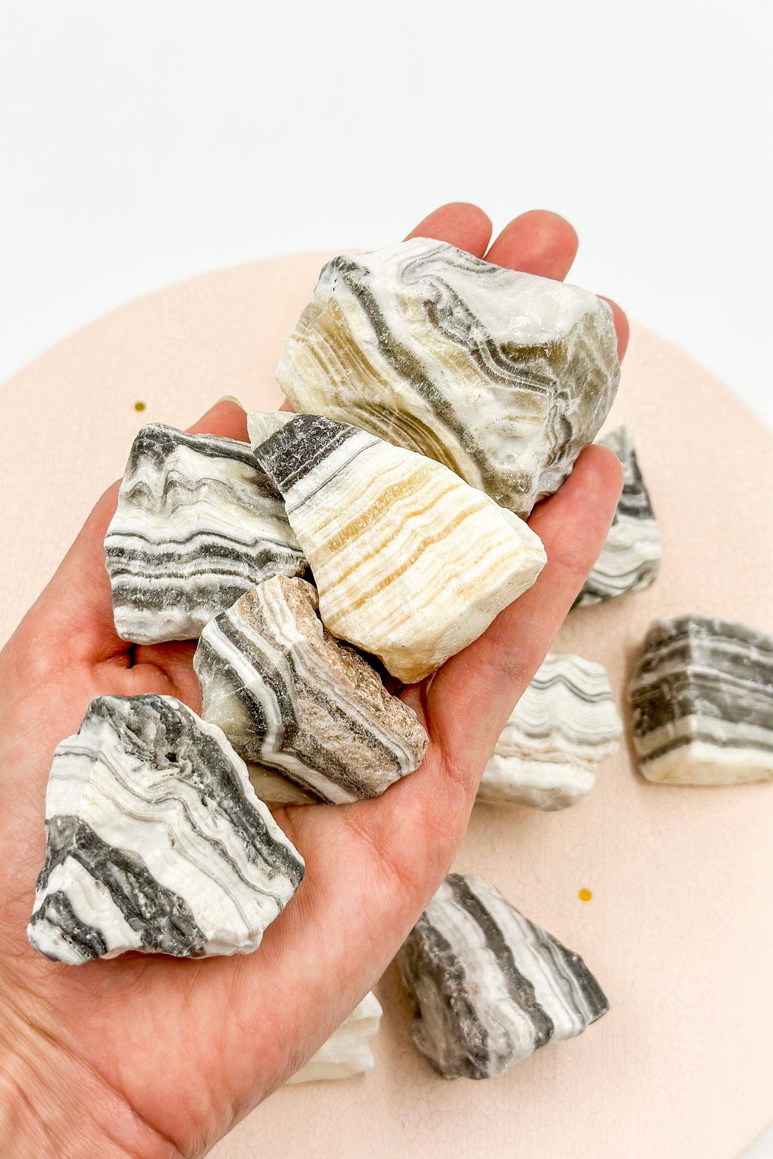 Zebra Onyx Raw | Support - Perseverance