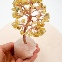 Árbol de citrino calentado con base de cuarzo rosa | Abundancia - Amor