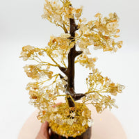 Árbol de los deseos | Citrino calentado | Abundancia - Energía