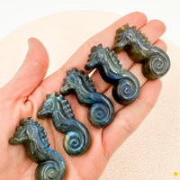 Labradorita Caballito de mar | Intuición - Transformación