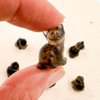 Obsidiana Hielo | Gatito | Autorrealización y Protección