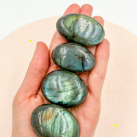 Labradorita Palmstones | Intuición - Transformación