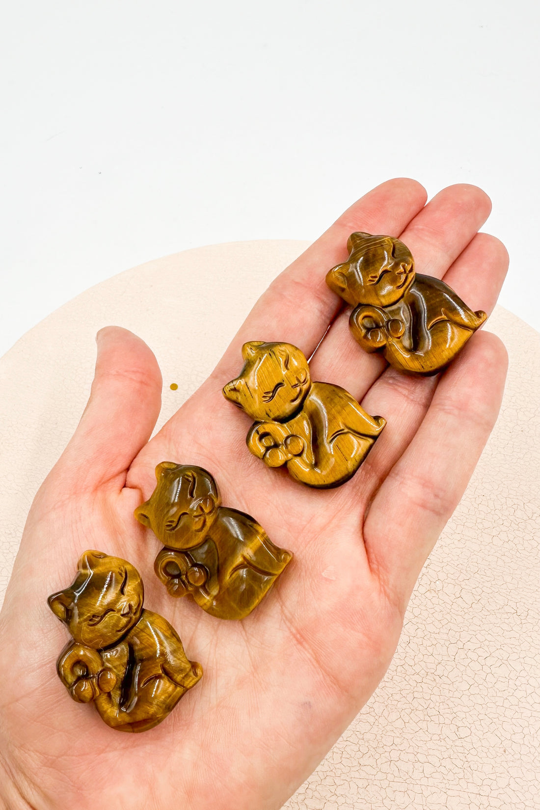 Ojo de tigre Gato | Protección - Transformación