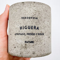 VELA HIGUERA | NATURE