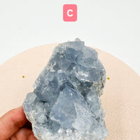Celestina Drusas | Espiritualidad - Meditación