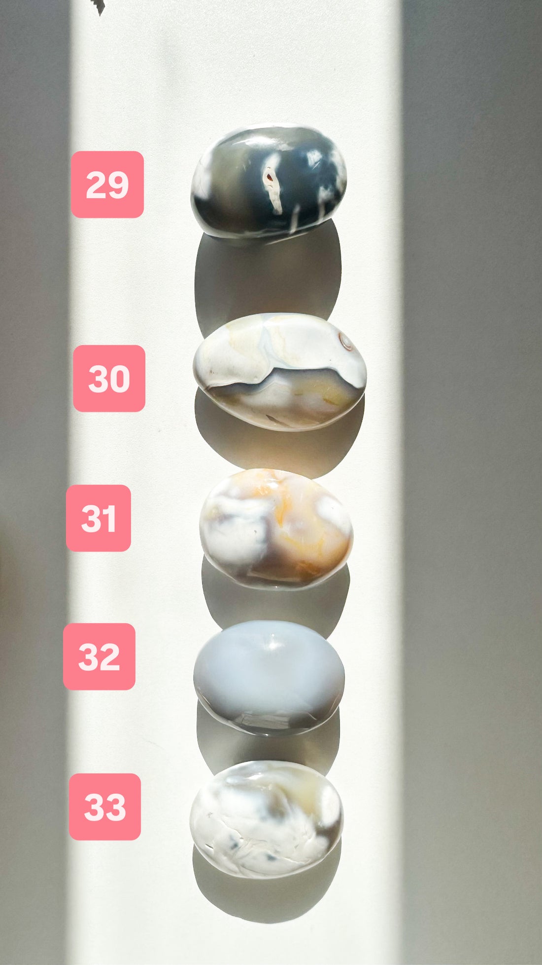 Ágata Orca Palmstone | Equilibrio y Superación