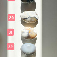 Ágata Orca Palmstone | Equilibrio y Superación