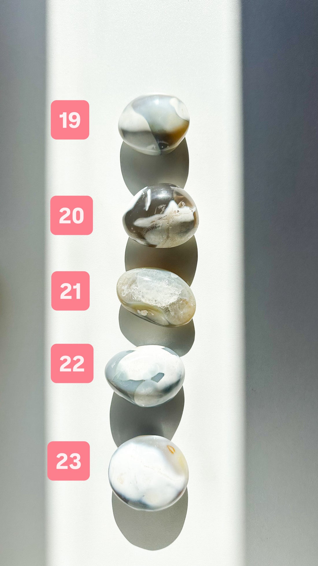 Ágata Orca Palmstone | Equilibrio y Superación