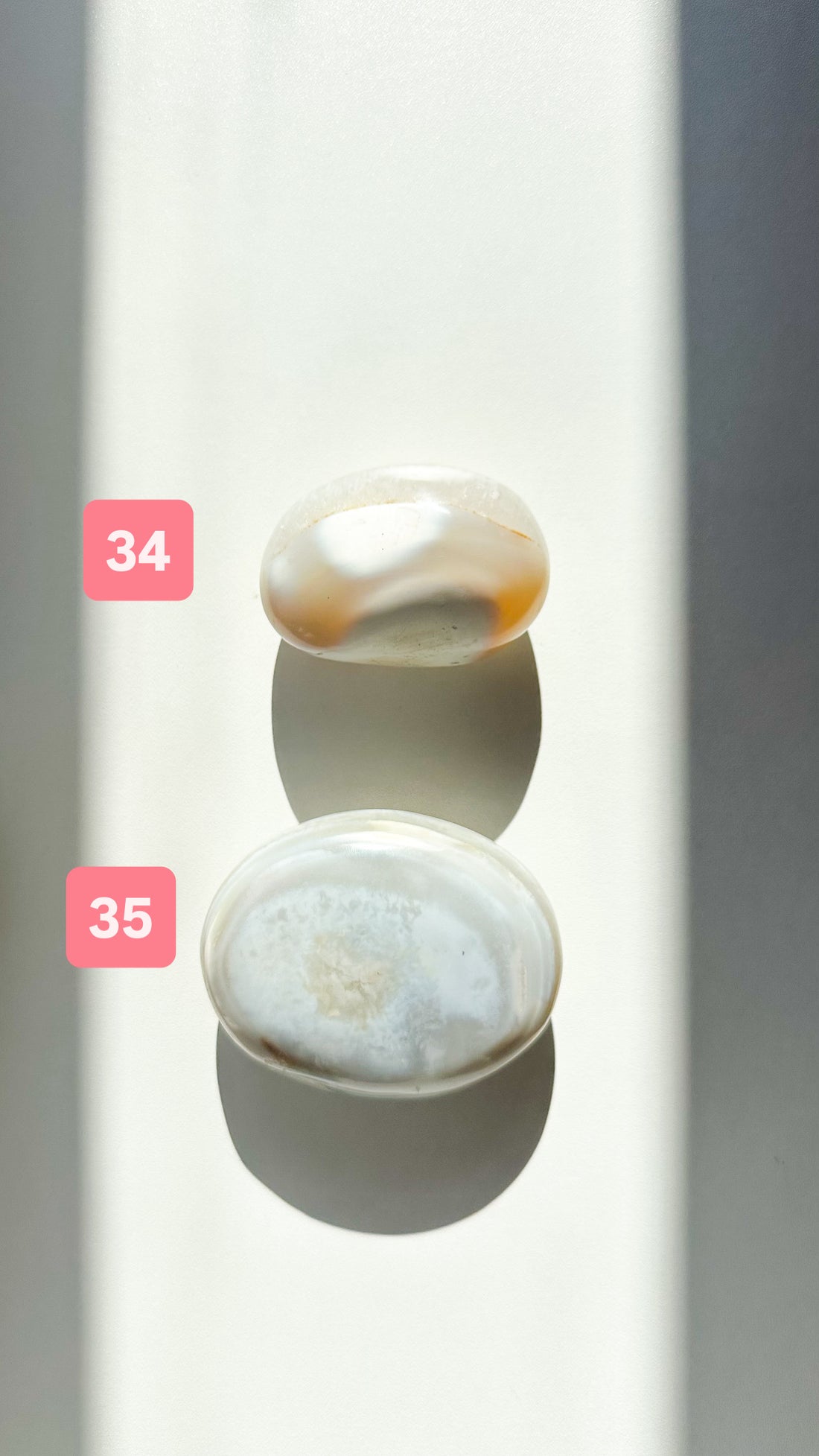 Ágata Orca Palmstone | Equilibrio y Superación