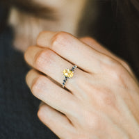 Anillo Lady