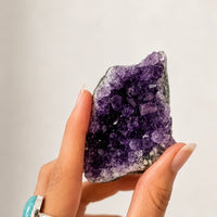 Amethyst Clusters | Relaxation - Balance