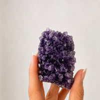 Amethyst Clusters | Relaxation - Balance