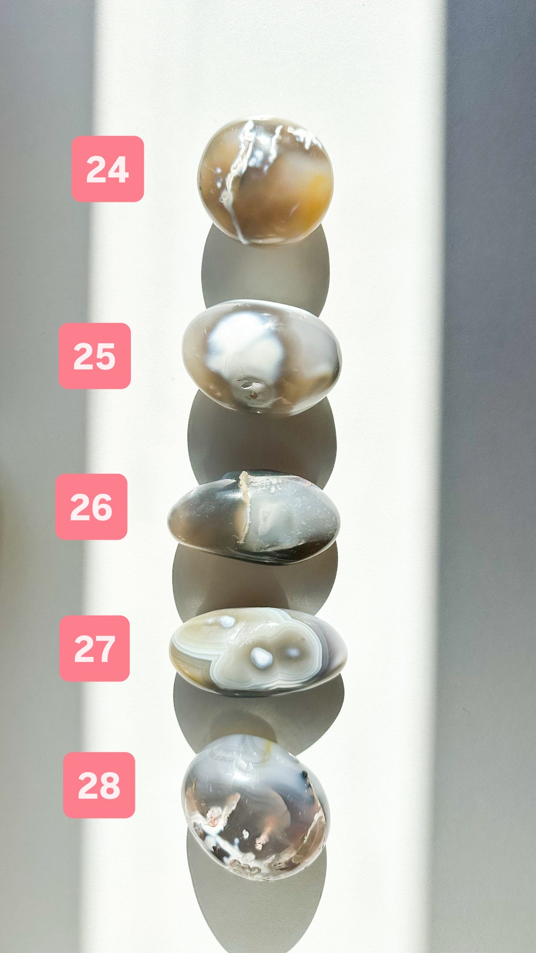 Ágata Orca Palmstone | Equilibrio y Superación
