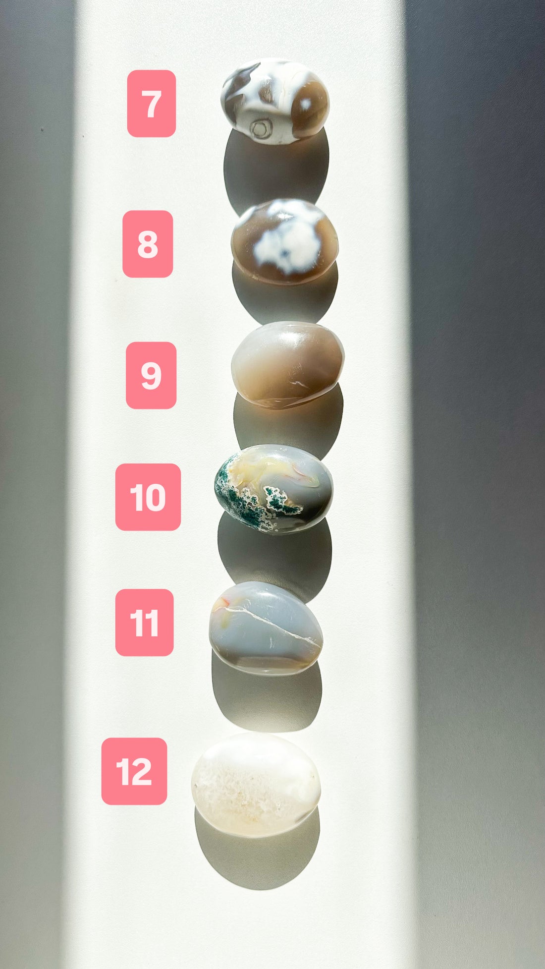 Ágata Orca Palmstone | Equilibrio y Superación