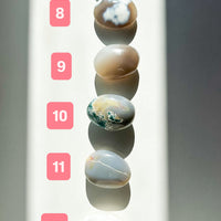 Ágata Orca Palmstone | Equilibrio y Superación