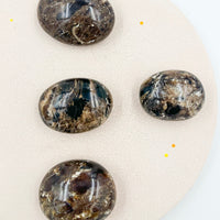 Palmstone Ópalo negro | Protección - Transformación profunda