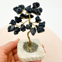 Árbol de turmalina | Limpieza - Protección