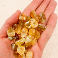 Cristal de Abundancia para Monedero | Atrae Prosperidad