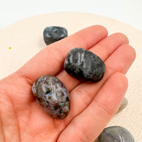 Dúo Rodados | Pietersita + Larvikita | Protección