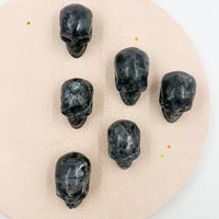 Larvikita Calavera | Agotamiento - Protección