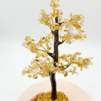 Árbol de los deseos | Citrino calentado | Abundancia - Energía