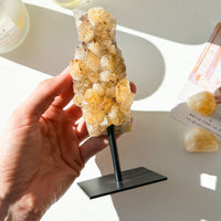 Drusa de citrino calentado con base | Abundancia - Energía