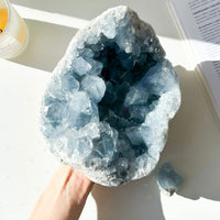 Celestina Drusa | Ejemplar único | Espiritualidad - Meditación