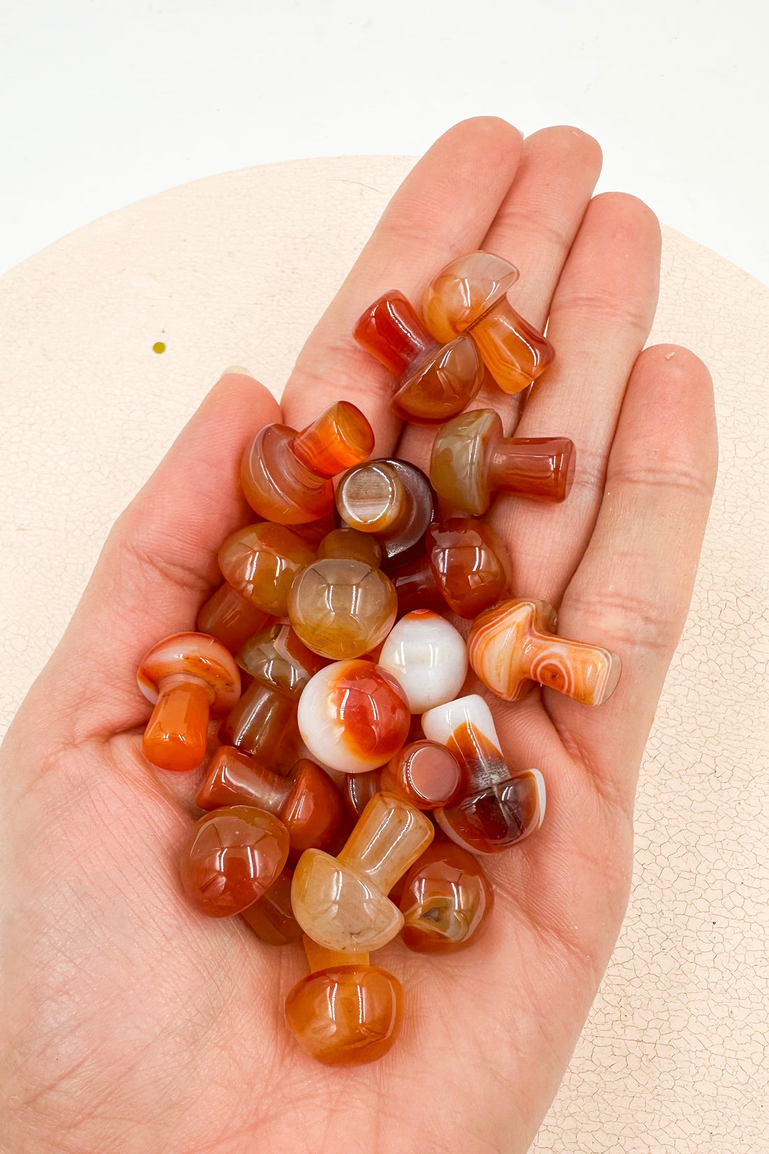 Seta mágica de Cornalina | Alegría - Autoestima