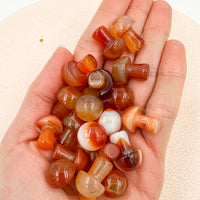 Seta mágica de Cornalina | Alegría - Autoestima