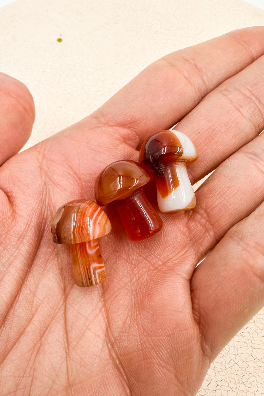 Seta mágica de Cornalina | Alegría - Autoestima