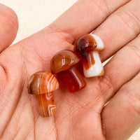 Seta mágica de Cornalina | Alegría - Autoestima