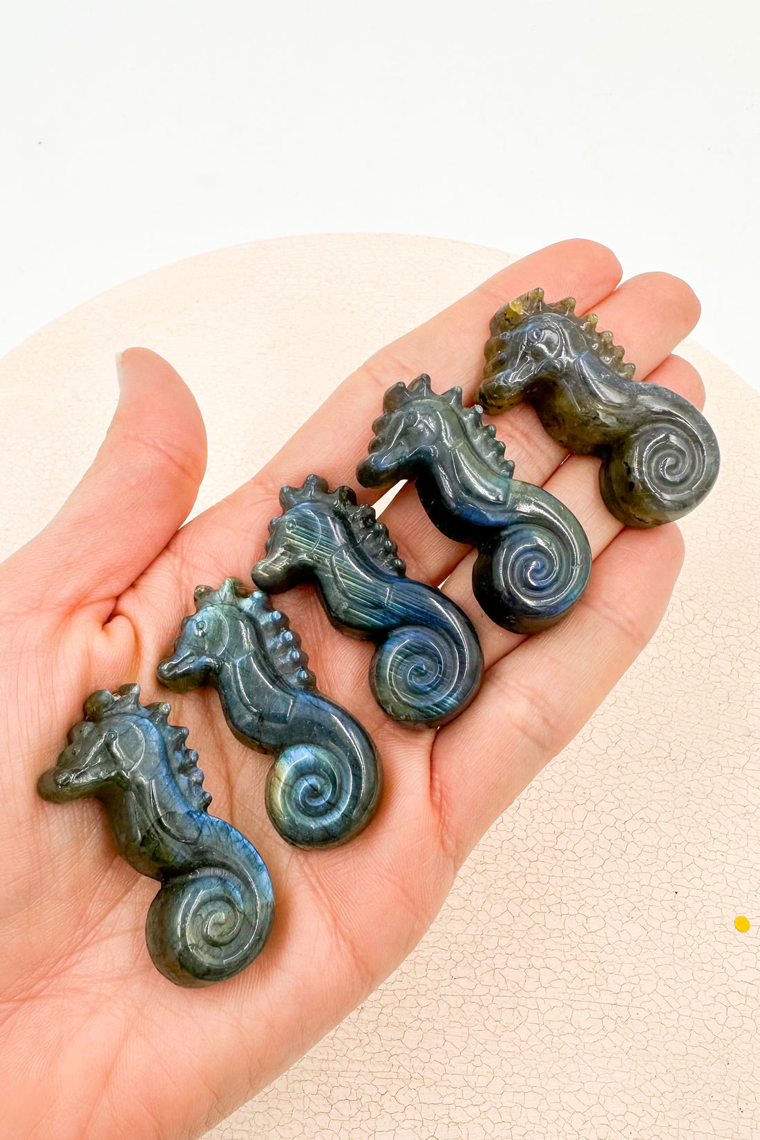 Labradorita Caballito de mar | Intuición - Transformación