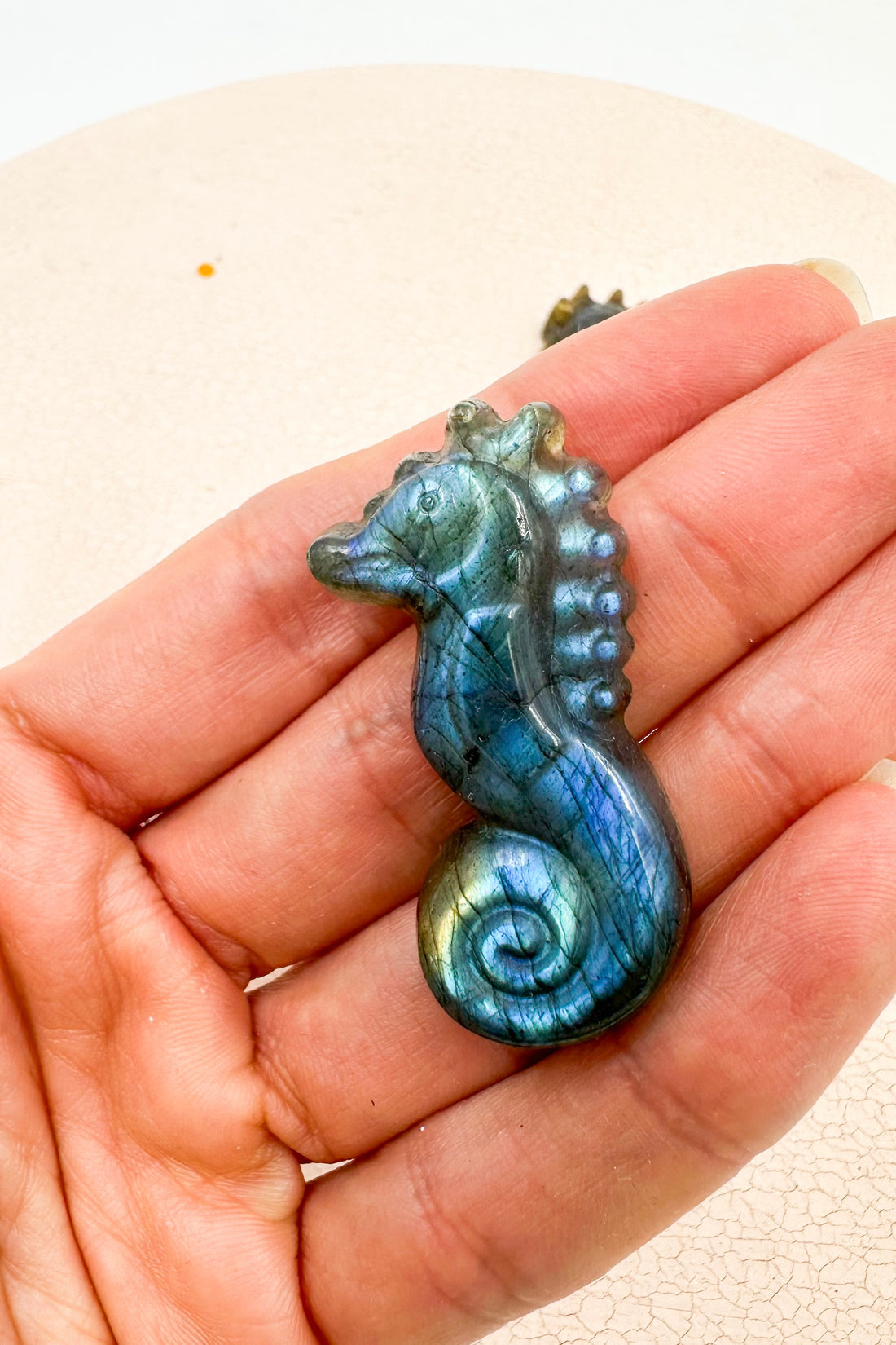 Labradorita Caballito de mar | Intuición - Transformación