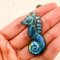 Labradorita Caballito de mar | Intuición - Transformación