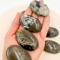 Ágata Volcánica | Envidias - Cierre de ciclos