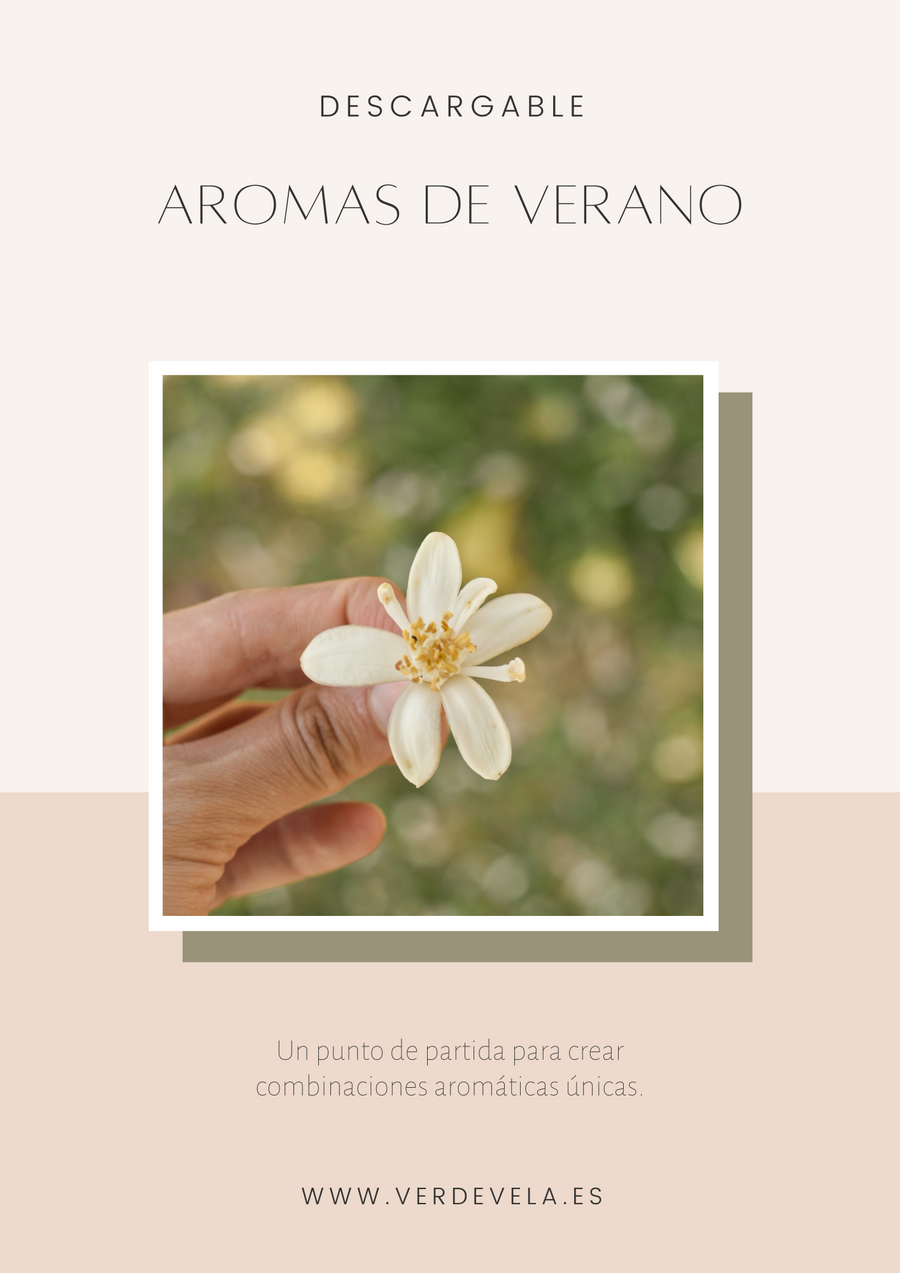 Aromatic combinations - Summer | VOL.1 