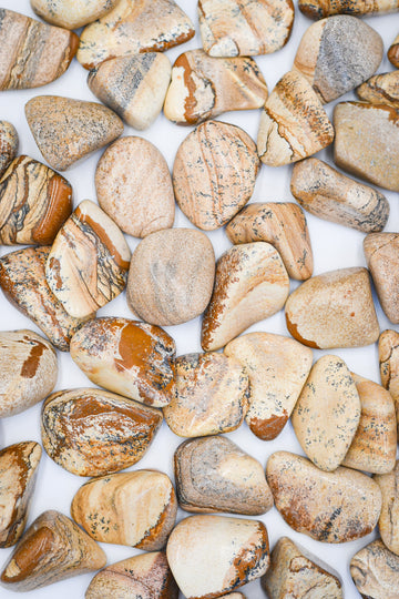 Paisina Jasper Tumble | energy and initiative
